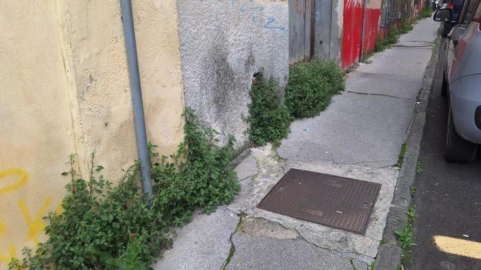 I marciapiedi di Carrara est sporchi e ricoperti di vegetazione. In compenso raffiche di multe a chi lascia l’auto nelle zone dove dove passare la spazzatrice Un disagio sottolineato dai residenti di. Carrara est I marciapiedi di Carrara est sporchi e ricoperti di vegetazione. In compenso raffiche di multe a chi lascia l’auto nelle zone dove dove passare la spazzatrice Un disagio sottolineato dai residenti di. Carrara est