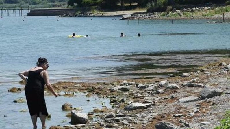 Meloni accusa il leghista Mancini per i sopralluoghi e la proposta-Montedoglio "Non avete garantito neanche la manutenzione regionale per tutelare il lago". Meloni accusa il leghista Mancini per i sopralluoghi e la proposta-Montedoglio "Non avete garantito neanche la manutenzione regionale per tutelare il lago".