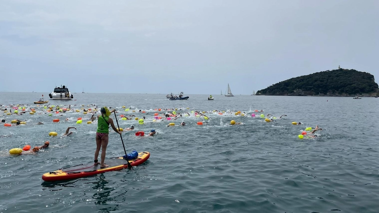 Grande successo per la gara in acque libere fra la spiaggia del Pozzale e Calata Doria a Porto Venere. Vittoria di Alessio Occhipinti Grande successo per la gara in acque libere fra la spiaggia del Pozzale e Calata Doria a Porto Venere. Vittoria di Alessio Occhipinti