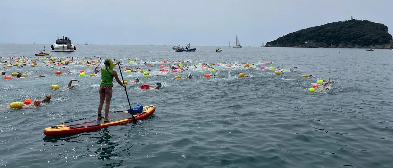 Palmaria Island, nuoto nella magia del Golfo