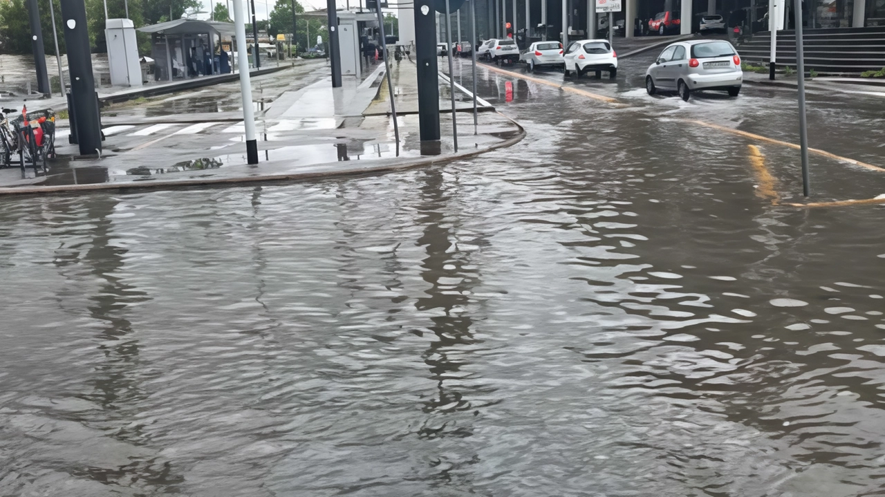 La forte pioggia di ieri ha bloccato la viabilità in città e provincia, rallentamenti sulla Fi-Pi–Li . Problemi a Gavinana e Rifredi. Oggi scatta l’allerta gialla ma "fenomeni meno intensi" . La forte pioggia di ieri ha bloccato la viabilità in città e provincia, rallentamenti sulla Fi-Pi–Li . Problemi a Gavinana e Rifredi. Oggi scatta l’allerta gialla ma "fenomeni meno intensi" .