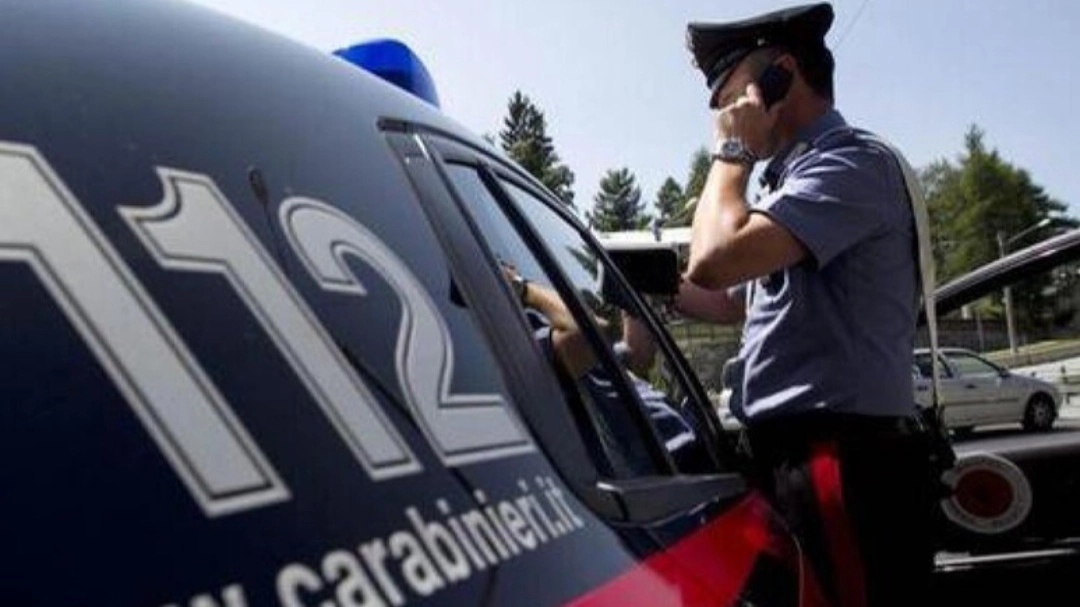 Carabinieri (foto di repertorio Ansa)