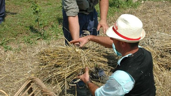 Per gli insediamenti in aree montane lo stanziamento previsto è di 70mila euro, mentre nelle altre zone si ferma a 65mila Per gli insediamenti in aree montane lo stanziamento previsto è di 70mila euro, mentre nelle altre zone si ferma a 65mila