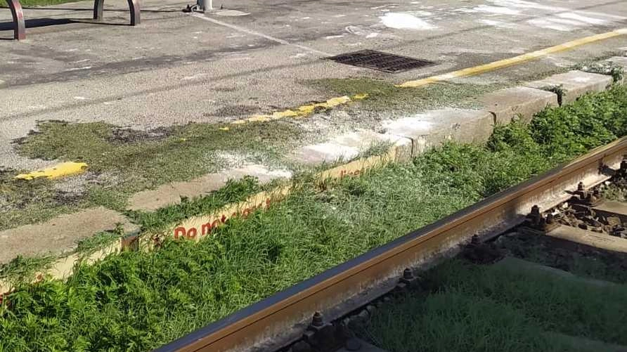 Il punto dove la quarantenne è stata investita martedì sera dal treno alla stazione di San Romano