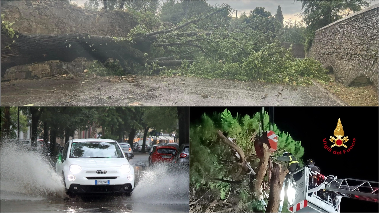 Decine tra alberi e rami caduti a Firenze nel pomeriggio del 2 luglio. Numerosi interventi dei vigili del fuoco