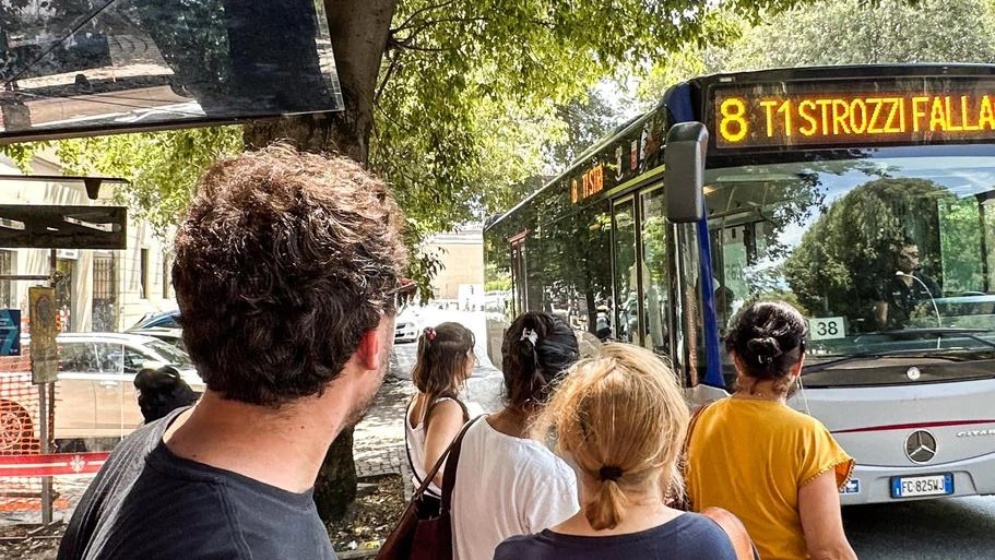 D a piazzale Montelungo a via della Scala: i bestioni turistici occupano gli spazi dei mezzi di Autolinee. L’autista svela i trucchi che usano . D a piazzale Montelungo a via della Scala: i bestioni turistici occupano gli spazi dei mezzi di Autolinee. L’autista svela i trucchi che usano .