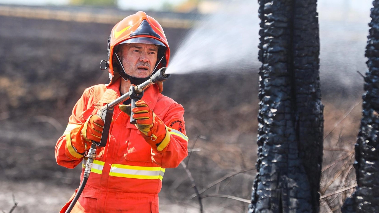 Cutrupi della vigilanza antincendi: "Il periodo intenso è appena iniziato. Martedì in cenere tremila metri quadri di un uliveto. Il tempismo è tutto". . Cutrupi della vigilanza antincendi: "Il periodo intenso è appena iniziato. Martedì in cenere tremila metri quadri di un uliveto. Il tempismo è tutto". .