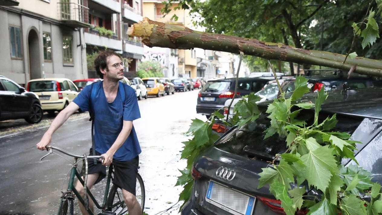 Mattinata torrida con persone bloccate in ascensore in centro e in via Mazzini per i cali di rete. Dopo pranzo gli acquazzoni cambiano lo scenario. Piante crollate all’Isolotto e a Gavinana.