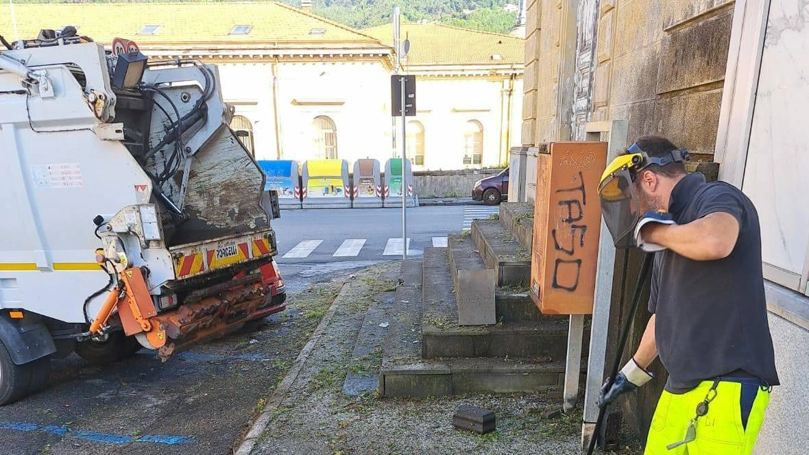 Dopo le polemiche della fase “sperimentale” dal 21 luglio non potrà essere conferito con il vetro. Volpi (Retiambiente Carrara): "Separare bene i materiali consente di avviarli alle filiere del riciclo". Dopo le polemiche della fase “sperimentale” dal 21 luglio non potrà essere conferito con il vetro. Volpi (Retiambiente Carrara): "Separare bene i materiali consente di avviarli alle filiere del riciclo".