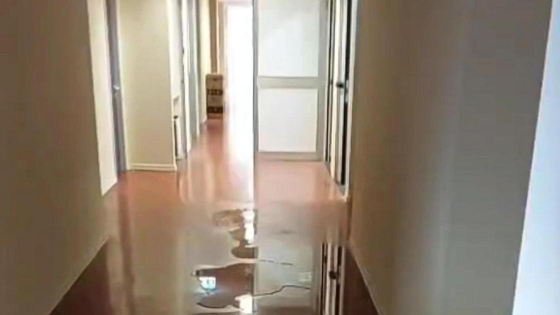 Allagamenti allo studentato “Fermi“: "Una situazione inaccettabile ma purtroppo si poteva prevedere" Allagamenti allo studentato “Fermi“: "Una situazione inaccettabile ma purtroppo si poteva prevedere"