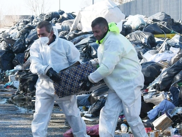 immagine articolo