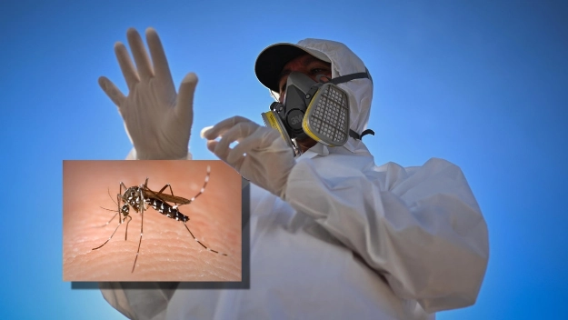 Il caso di Dengue è stato individuato dall'Asl Toscana Nord Ovest e notificato al Comune di Massa Il caso di Dengue è stato individuato dall'Asl Toscana Nord Ovest e notificato al Comune di Massa