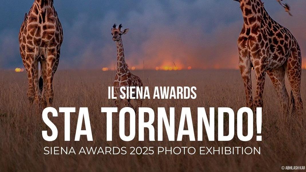 Il ritorno di Siena Awards. L’evento mondiale dedicato alla fotografia abbraccia il territorio Il ritorno di Siena Awards. L’evento mondiale dedicato alla fotografia abbraccia il territorio