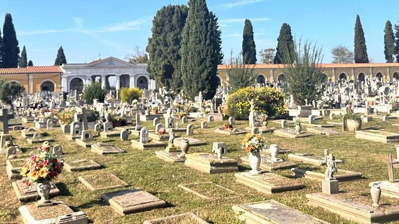 Uno scatto di un cimitero di Pisa Uno scatto di un cimitero di Pisa