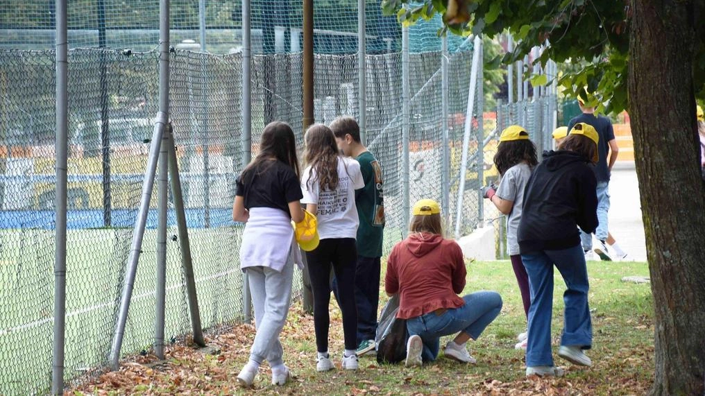 Gli studenti della ’Burri’ di Trestina all’opera nelle aree verdi del quartiere Gli studenti della ’Burri’ di Trestina all’opera nelle aree verdi del quartiere