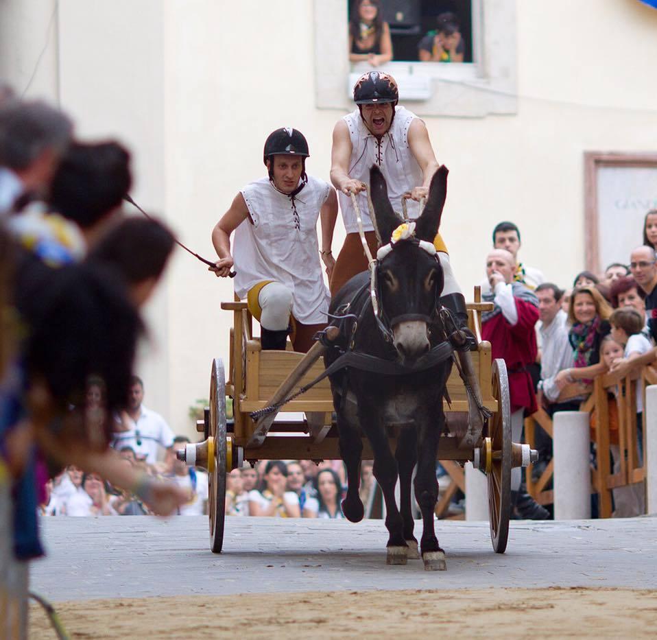 sale l8217attesa iniziano le prove delle corse