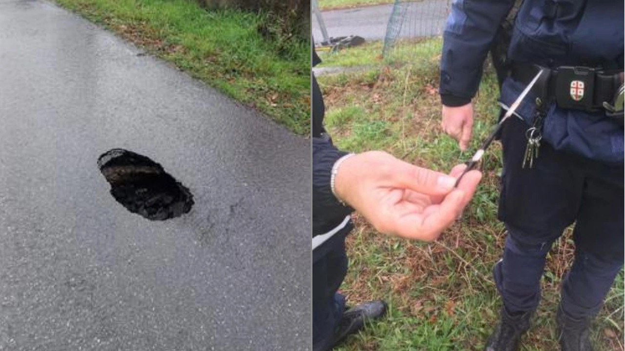 Il piccolo cratene nell'asfalto e l'aculeo ritrovato all'interno Il piccolo cratene nell'asfalto e l'aculeo ritrovato all'interno