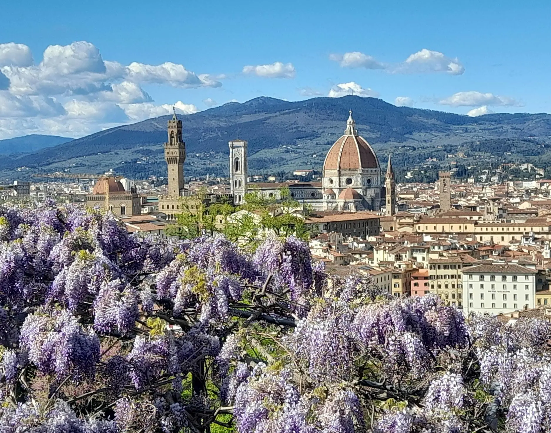 firenze l8217estate di chi resta in citt224 cosa fare tra musei cinema e passeggiate gratuite