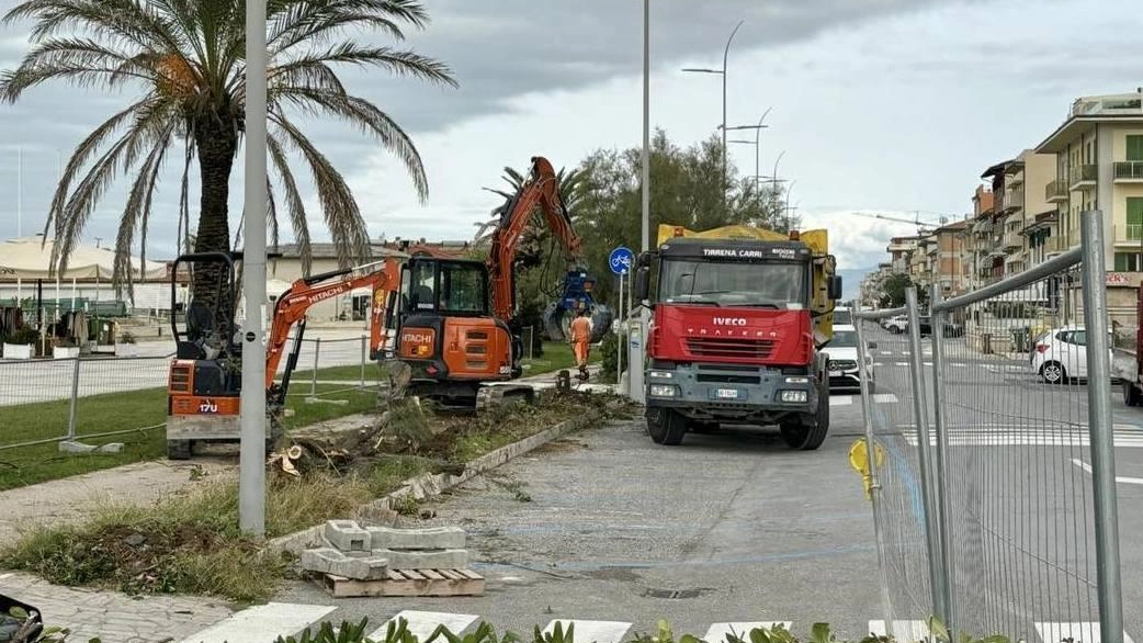 I mezzi impiegati per i lavori di riqualificazione della Ciclovia Tirrenica ieri mattina all’opera nella frazione costiera di Lido di Camaiore I mezzi impiegati per i lavori di riqualificazione della Ciclovia Tirrenica ieri mattina all’opera nella frazione costiera di Lido di Camaiore