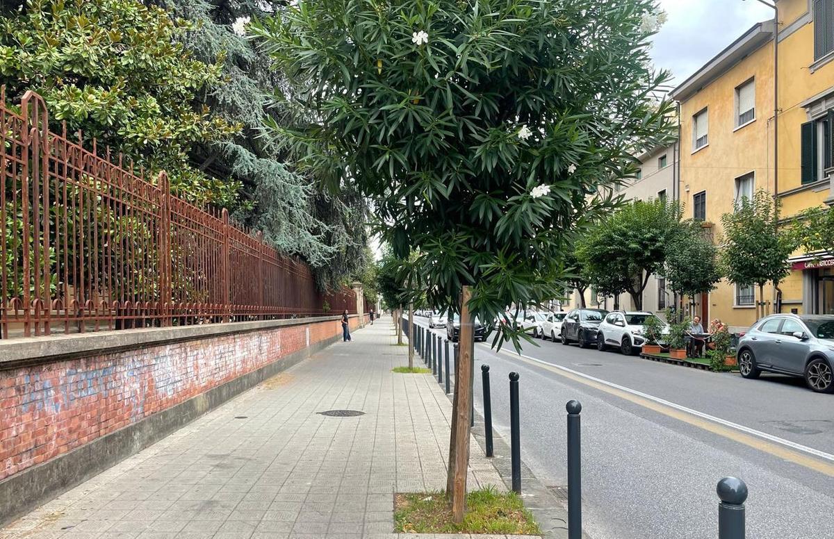 Via Benedetto Croce diventa area pedonale
