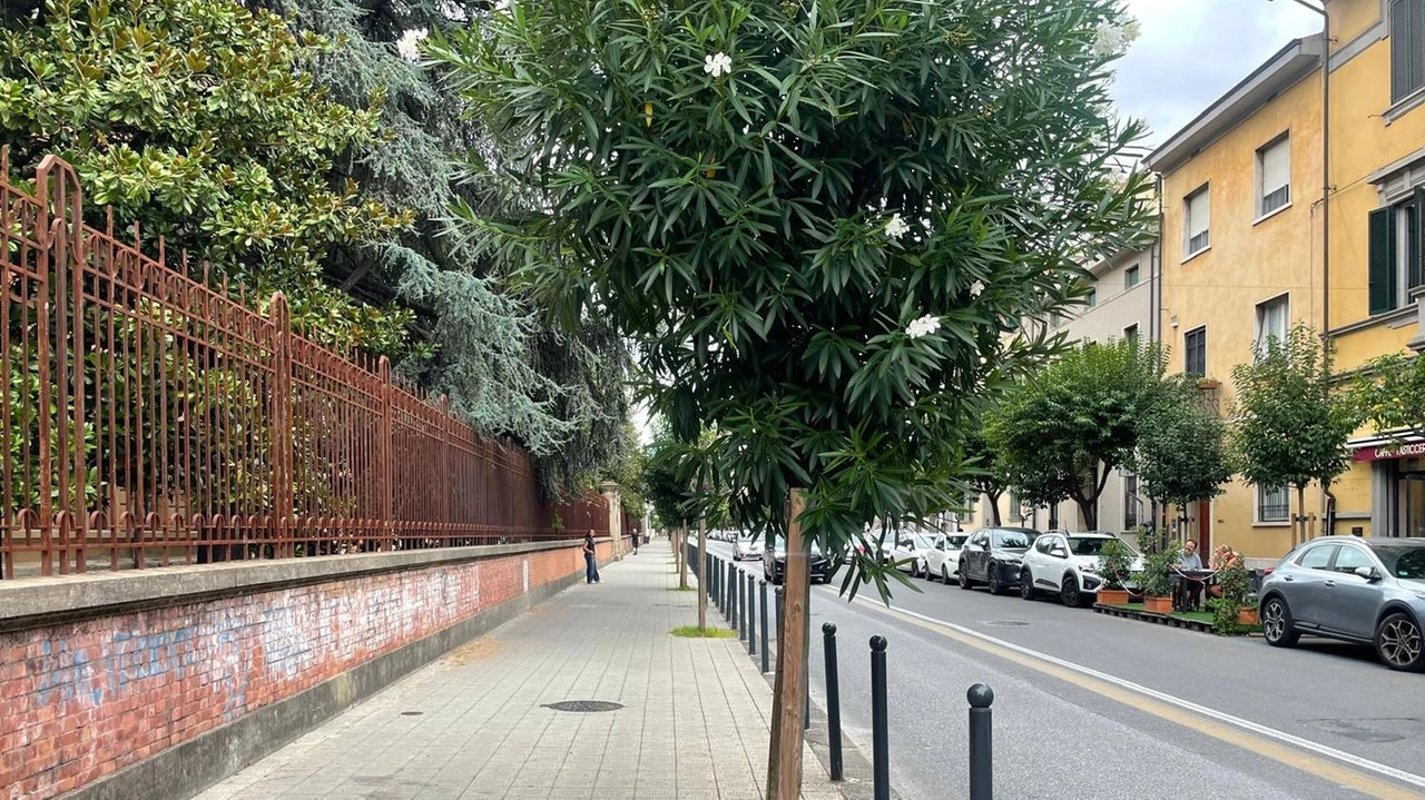 L’area pedonale su via Benedetto Croce andrà dalle 7.30 alle 8.30 e dalle 12.30 alle 13.30 con stalli di sosta in piazza Guerrazzi