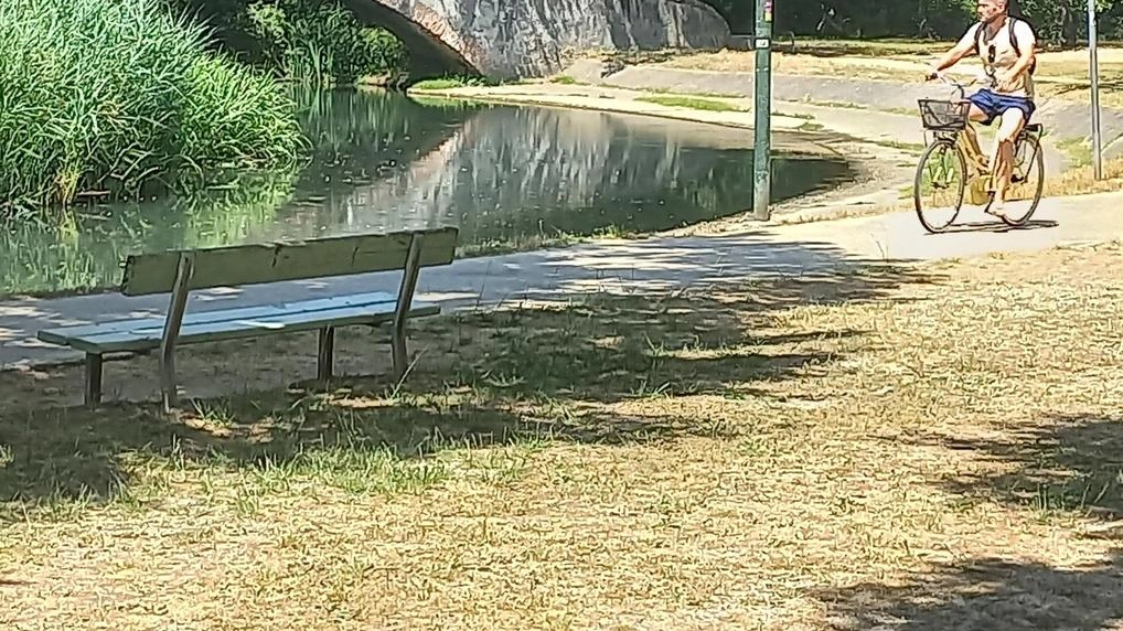 Una delle poche panchine rimaste nella zona del Ponte del Principe, con i residenti e i turisti costretti a contenderla all’ora di pranzo Una delle poche panchine rimaste nella zona del Ponte del Principe, con i residenti e i turisti costretti a contenderla all’ora di pranzo