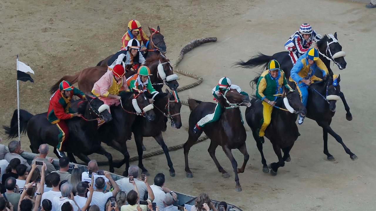 Emozioni al Palio di Siena di luglio. La carriera è stata rinviata di un giorno per maltempo (Foto Lazzeroni) Emozioni al Palio di Siena di luglio. La carriera è stata rinviata di un giorno per maltempo (Foto Lazzeroni)