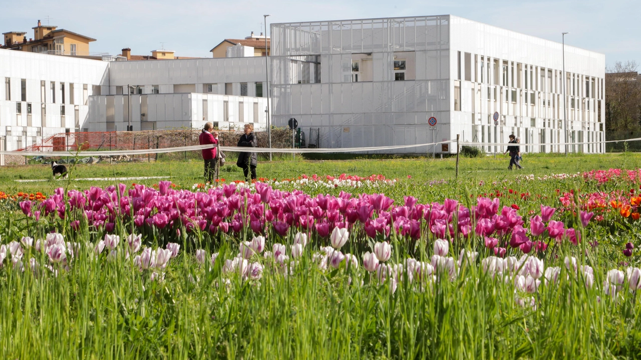 La giunta ha approvato la progettazione del primo lotto per il parco urbano nell’area dell’ex Cnr (FotocronacheGermogli) La giunta ha approvato la progettazione del primo lotto per il parco urbano nell’area dell’ex Cnr (FotocronacheGermogli)