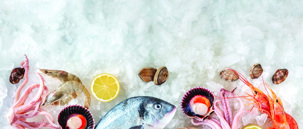 Un alimento molto prezioso per il corpo e per la mente