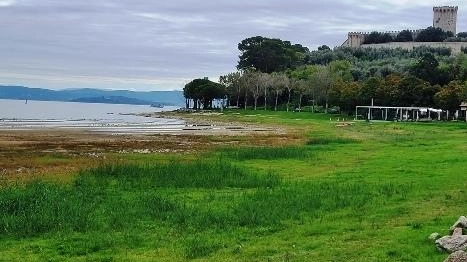 Le piogge hanno portato un minimo di sollievo al Trasimeno malato. Benemio (Urat): "Ma da qui a Pasqua va recuperato un metro di livello". Le piogge hanno portato un minimo di sollievo al Trasimeno malato. Benemio (Urat): "Ma da qui a Pasqua va recuperato un metro di livello".