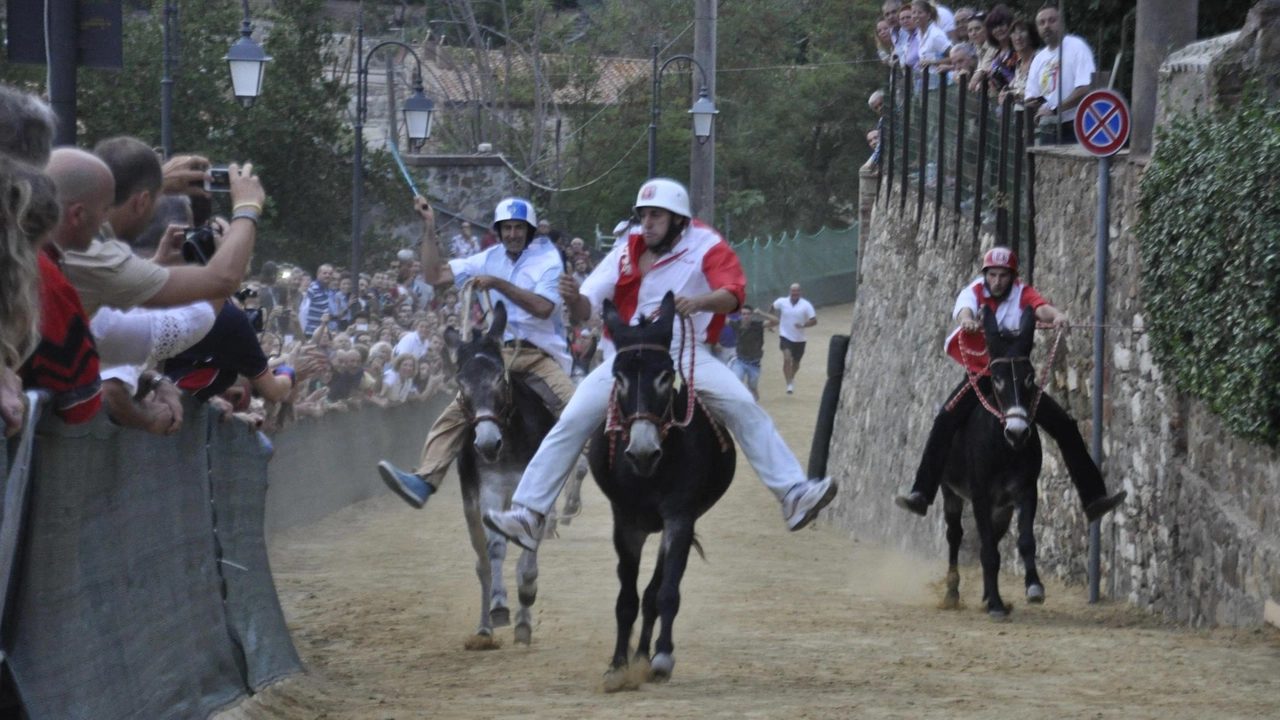 Il tradizionale palio dei ciuchi di Campagnatico si correrà oggi alle 18 Alle 16 ci sarà però la benedizione dei fantini e degli animali Il tradizionale palio dei ciuchi di Campagnatico si correrà oggi alle 18 Alle 16 ci sarà però la benedizione dei fantini e degli animali