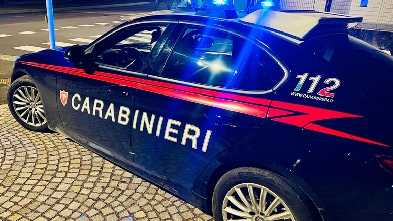 L'anziano è stato ritrovato morto in un campo dai carabinieri (foto archivio Ansa) L'anziano è stato ritrovato morto in un campo dai carabinieri (foto archivio Ansa)