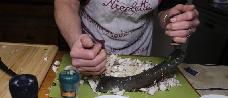 Il fungo re dell’autunno. Un gioiello sotto le querce. La colombina è... ripiena