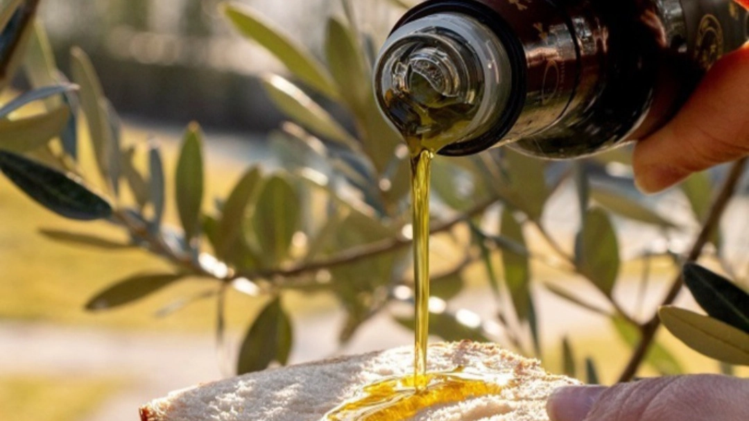 Olio (foto Ansa) Olio (foto Ansa)