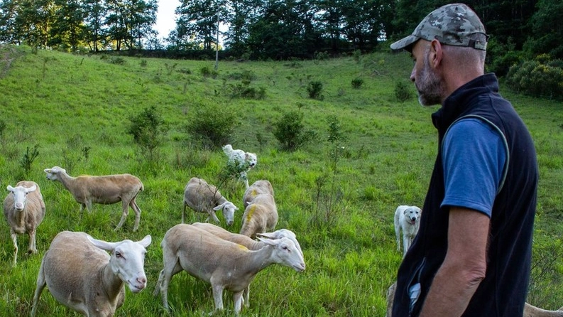 Dopo il successo della scuola per pastori torna il progetto "Pasturs". Supporteranno il lavoro di alcune aziende zootecniche della vallata