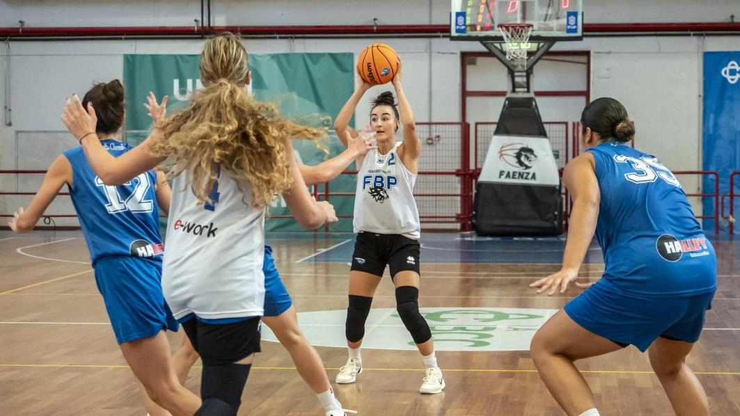 ORVIETO Il Movimento Cinque Stelle solleva il problema della squadra di pallacanestro Azzurra Basket che ad Orvieto non ha un... ORVIETO Il Movimento Cinque Stelle solleva il problema della squadra di pallacanestro Azzurra Basket che ad Orvieto non ha un...