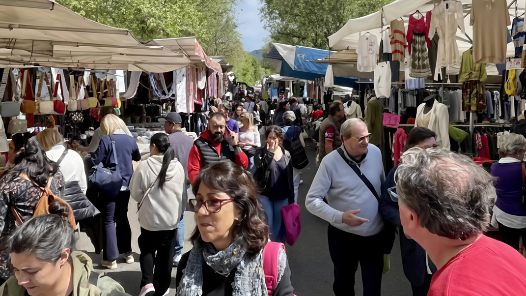 Oggi dalle 9 alle 19 torna il grande mercato intorno allo stadio: oltre 300 banchi in viale Fanti e viale Paoli per soddisfare ogni esigenza di shopping Oggi dalle 9 alle 19 torna il grande mercato intorno allo stadio: oltre 300 banchi in viale Fanti e viale Paoli per soddisfare ogni esigenza di shopping