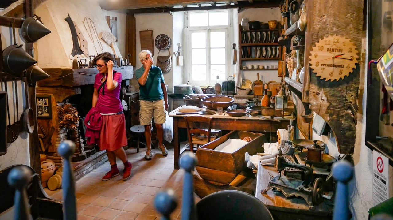 Museo del Castagno a Colognora