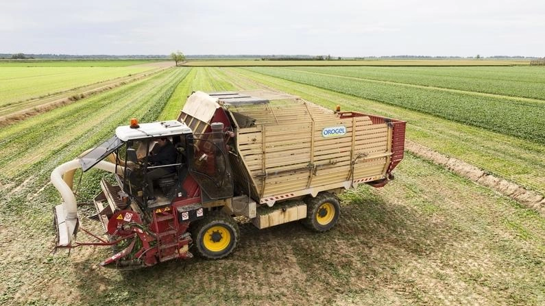 L’azienda è il primo produttore in Italia di vegetali freschi surgelati con 150mila tonnellate di prodotto ritirato e commercializzato e oltre 10mila ettari di terreno coltivato tra fresco e surgelato.