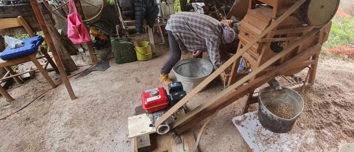 Tradizione in tavola. La farina di castagne. Noceto insegna il metodo