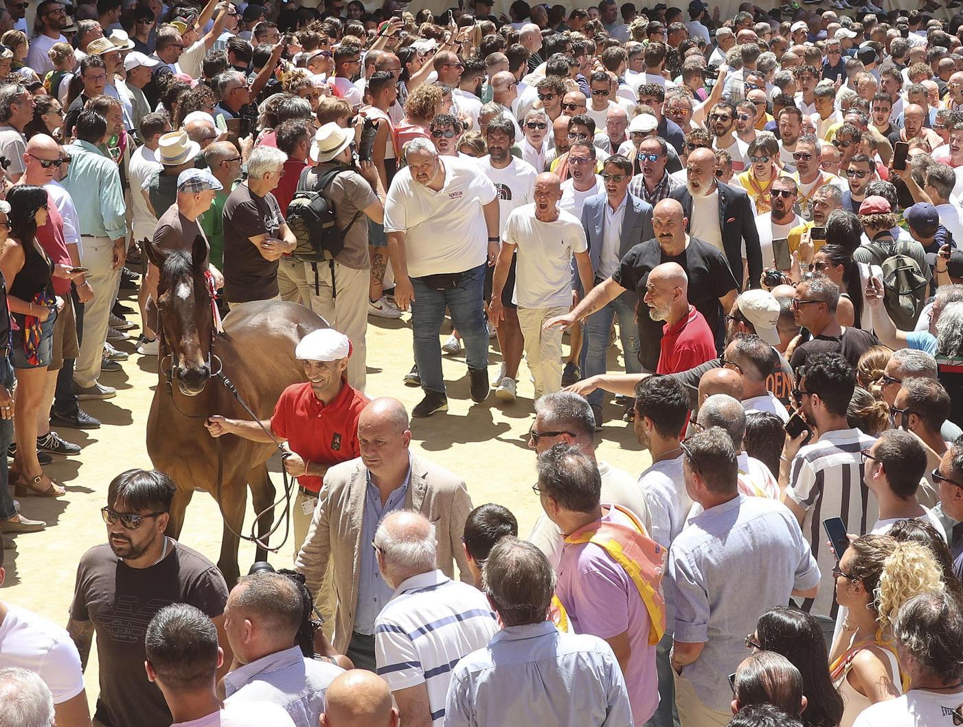 La scelta della sorte. L’urlo di Tartuca,. Chiocciola e Lupa La scelta della sorte. L’urlo di Tartuca,. Chiocciola e Lupa