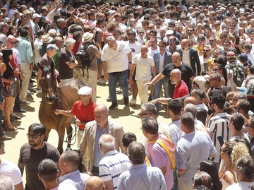 immagine articolo