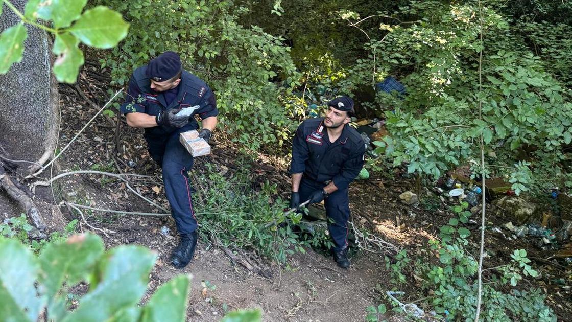 https://www.lanazione.it/image-service/view/acePublic/alias/contentid/NDRhZGEzZDMtODY2Ni00/0/nel-bivacco-dello-spaccio-blitz-dei-carabinieri-a-miranda-sequestrati-droga-coltelli-e-mannaie.jpeg?f=16:9&w=1200&h=630