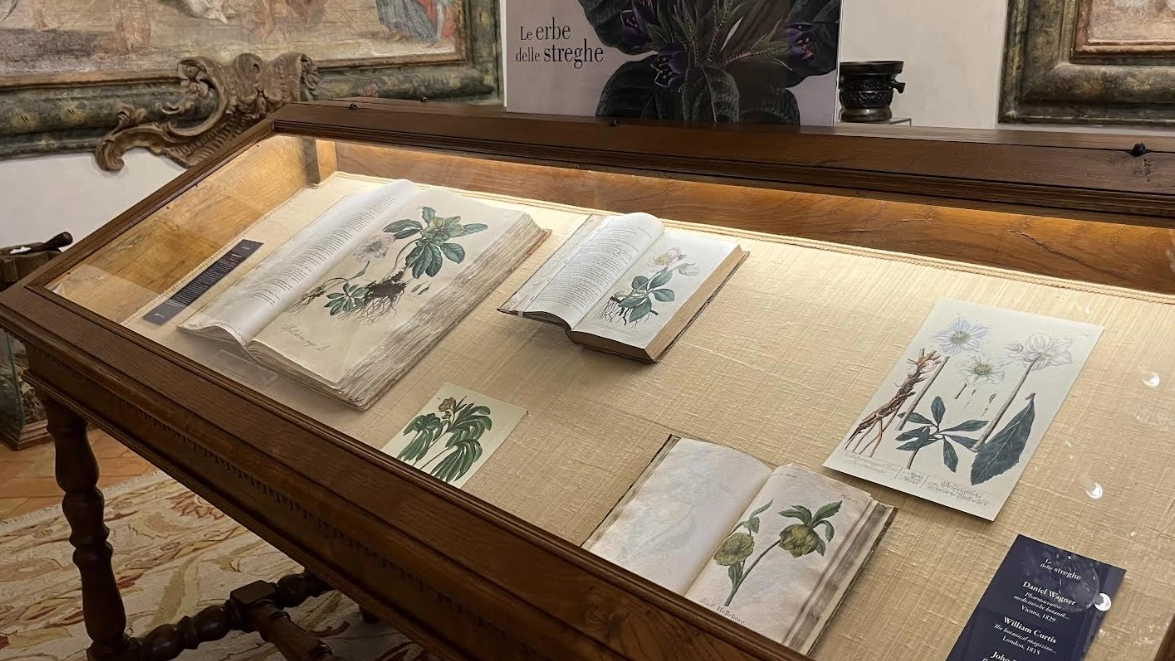 La mostra La mostra