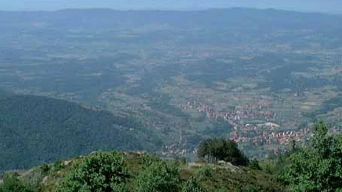 Verso nuove risorse per tutelare le foreste Verso nuove risorse per tutelare le foreste