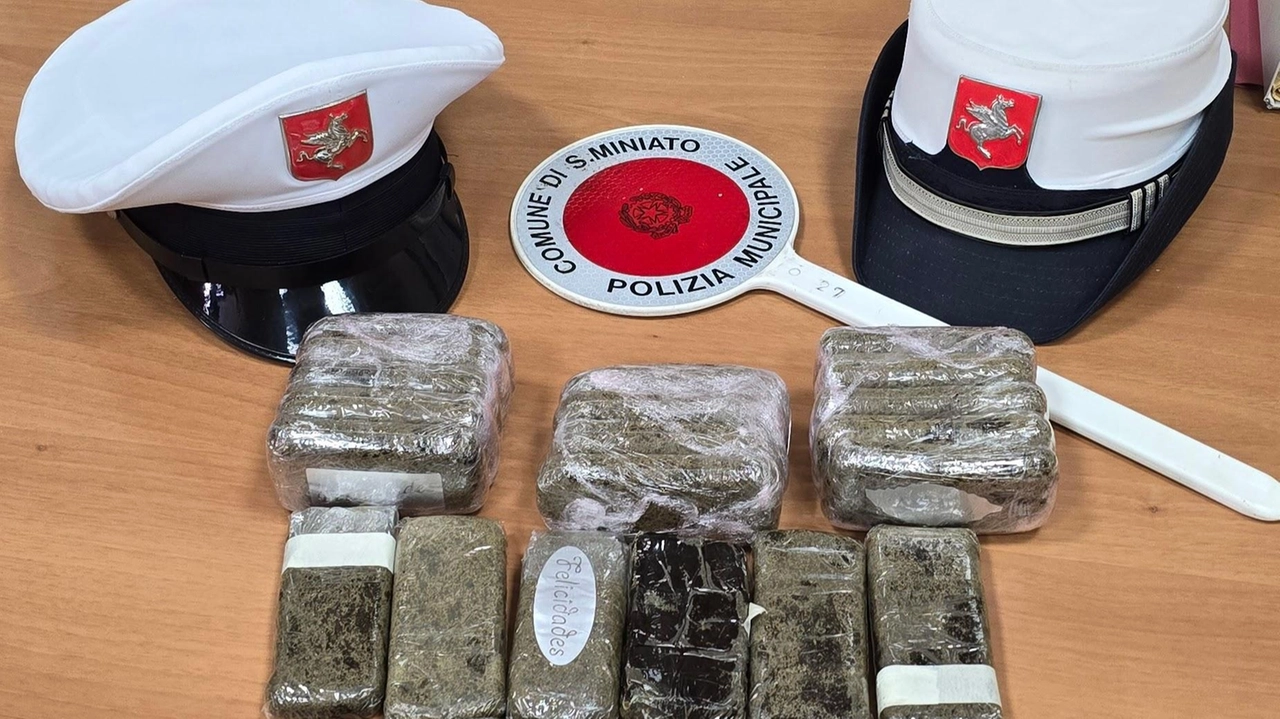 La droga sequestrata nel meleto dagli agenti della polizia municipale di San Miniato
