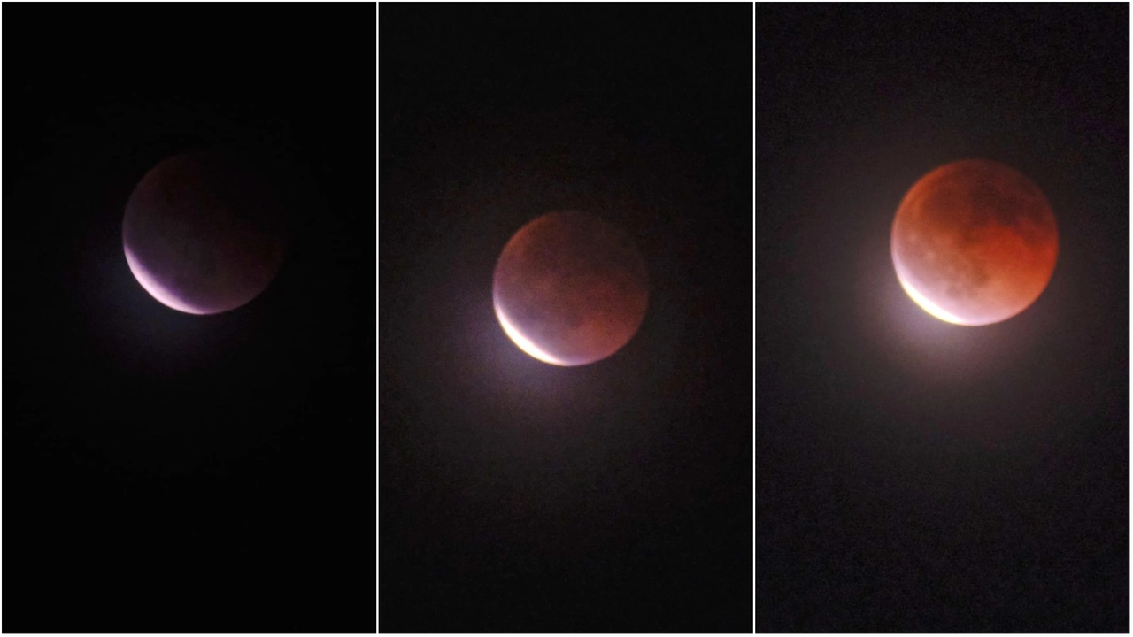 L'eclissi di luna del 7 settembre nelle foto scattate da Paolo Pacini L'eclissi di luna del 7 settembre nelle foto scattate da Paolo Pacini
