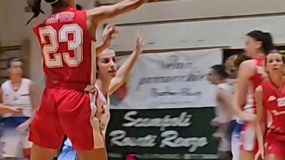 Basket - Serie "B" femminile interregionale Stasera alle 21 con S.Giovanni. Le avversarie sono terz’ultime, ma sul loro parquet diventano temibili. Basket - Serie "B" femminile interregionale Stasera alle 21 con S.Giovanni. Le avversarie sono terz’ultime, ma sul loro parquet diventano temibili.