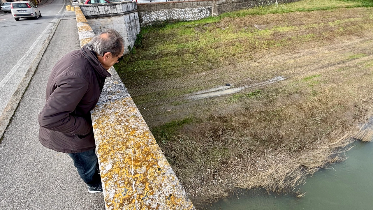Le “maxivongole” spiaggiate sono visibili anche dal ponte napoleonico Le “maxivongole” spiaggiate sono visibili anche dal ponte napoleonico