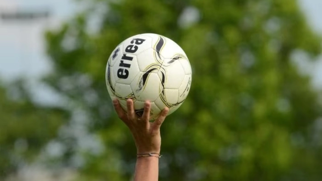 Pallone da calcio Pallone da calcio